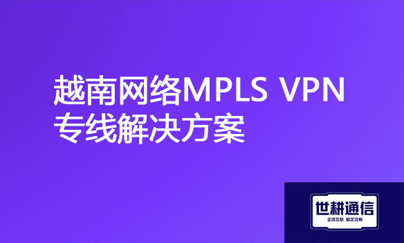 越南网络MPLS VPN专线解决方案.jpg