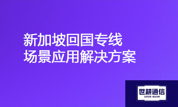 新加坡回国专线场景应用解决方案.jpg