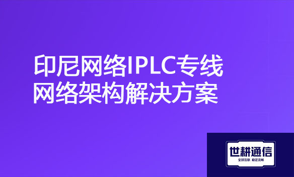 印尼网络IPLC专线网络架构解决方案.jpg
