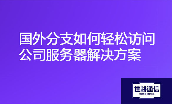 国外分支如何轻松访问公司服务器解决方案.jpg
