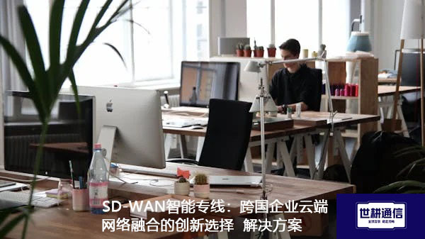 SD-WAN智能专线：跨国企业云端网络融合的创新选择.jpg