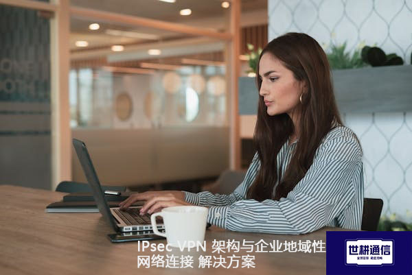 IPsec VPN 架构与企业地域性网络连接.jpg