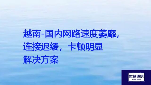 越南-国内网路速度萎靡，连接迟缓，卡顿明显？？？解决方案//世耕通信全球ERP、OA办公专网