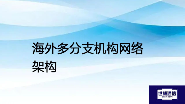 海外多分支机构网络架构---解决方案//世耕通信全球办公专网专线