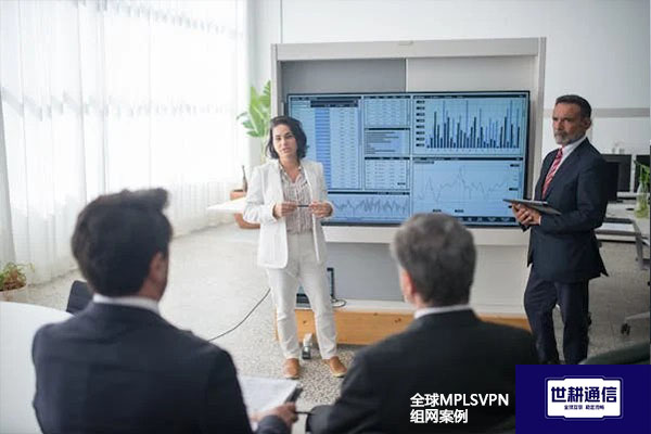 全球MPLSVPN组网案例--解决方案//世耕通信全球办公专网专线