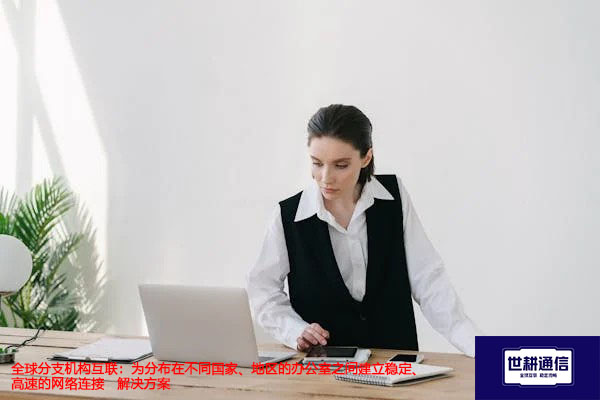 全球分支机构互联:为分布在不同国家、地区的办公室之间建立稳定、高速的网络连接-解决方案//世耕通信全球办公专网专线