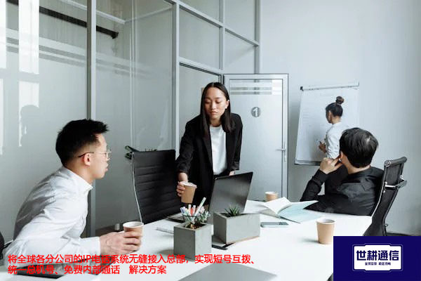 将全球各分公司的IP电话系统无缝接入总部，实现短号互拨、统一总机号、免费内部通话-解决方案//世耕通信全球办公专网专线