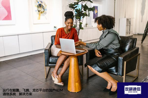 运行在鲲鹏、飞腾、龙芯平台的国产化IM通信系统-解决方案//世耕通信  即时通讯（IM）私有化部署