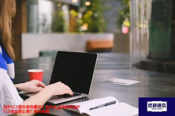国外ECS服务商有哪些？为什么国内访问国外ECS速度那么慢？--解决方案//世耕通信全球办公专网专线