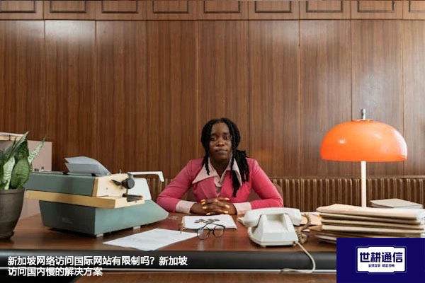 新加坡网络访问国际网站有限制吗？新加坡访问国内慢的解决方案---世耕通信全球办公专网专线