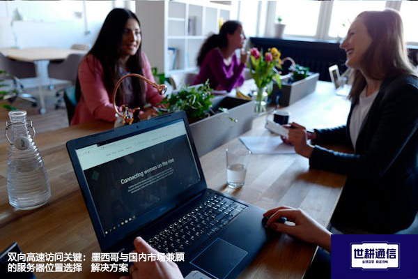 双向高速访问关键：墨西哥与国内市场兼顾的服务器位置选择 --解决方案//世耕通信全球办公专网专线