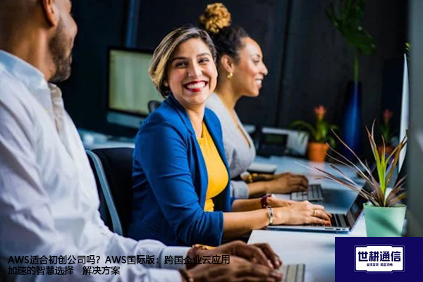 AWS适合初创公司吗？AWS国际版：跨国企业云应用加速的智慧选择--解决方案//世耕通信全球办公专网专线