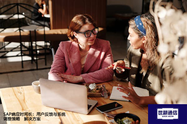 SAP响应时间长：用户反馈与系统调整策略--解决方案//世耕通信全球办公专网专线