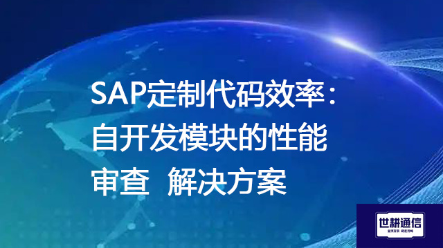 SAP定制代码效率：自开发模块的性能审查 --解决方案//世耕通信全球办公专网专线