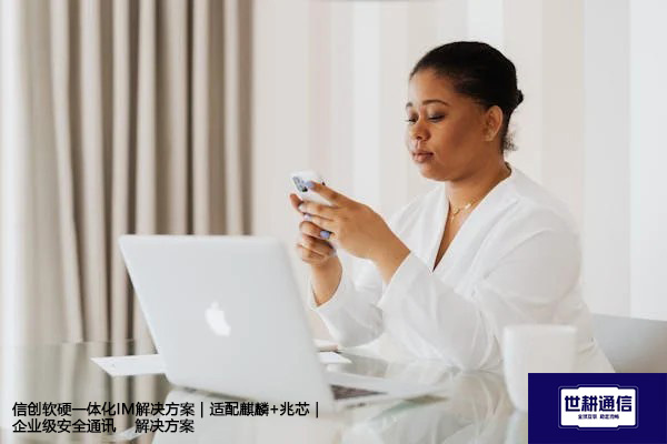 信创软硬一体化IM解决方案｜适配麒麟+兆芯｜企业级安全通讯--解决方案//世耕通信  即时通讯（IM）私有化部署