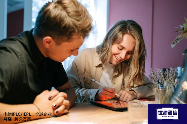 电信IPLC/IEPL：全球企业网络 --解决方案//世耕通信全球办公专网专线