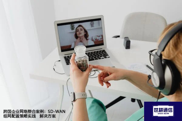 跨国企业网络整合案例：SD-WAN组网配置策略实践--解决方案//世耕通信全球办公专网专线