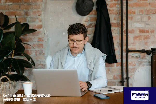 SAP性能调试：数据库查询优化与索引策略-- 解决方案//世耕通信全球办公专网专线