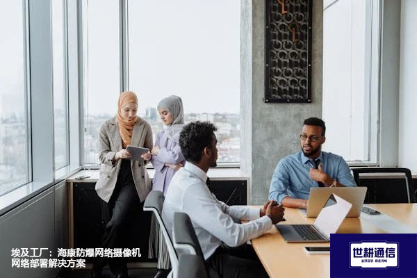 埃及工厂：海康防爆网络摄像机网络部署解决方案--世耕通信全球视频监控解决方案