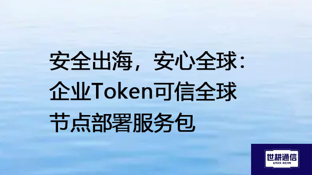 安全出海，安心全球：企业Token可信全球节点部署服务包--解决方案//世耕通信全球办公专网专线